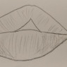 Lip shape reference