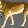 Scout's semi-realistic wolf reference