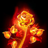 The rose on fire is Nyx's personal signature and symbol. It is based off the blooming fire rose of Rozenfyre palace, the only place in the world it could be found.