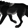 Feral form/fur coloring/eye colors.