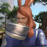 A chest-up screenshot. Fane covers his mouth with a hand in a thinking pose. He is in the Doman Enclave.