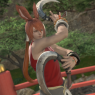A waist-up screenshot. Fane poses with his twin sickles. He arms are crossed in a dancing pose. He is in a garden in Kugane.