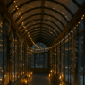 •	A glass hallway connecting the ballroom and the conservatory. 	•	Frost traced along the glass, ivy glittering under strings of lights. 	•	Shadows of couples passing hand-in-hand through silver reflections.