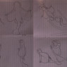 Some sketches of Sango in her mermaid form