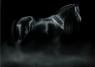 They say Death rides a white horse...Don't believe it.
