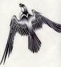 A flash of silver, a screech...and its all over.