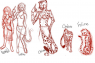 These are Faenya's forms... sort of! She's half-human half-elf, so as mentioned somewhere on her sheet, she has affinities for magic! But she has yet to be taught how to shapeshift. Maybe it will be incidental? Who knows!