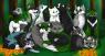 From left to right, front to back: Alaira, Altheron, Orphic, Narcotized, Aeyden, Colte, Athrena, Ace, Caspian, Allune, Starlynn, Azaphos, Stoick, Ezaziel