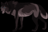 Visual reference for her wolf markings