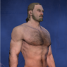 The Elder Scrolls Online character creation tool used.