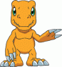 This is the primary form Agumon stays in, you could say it's his default.