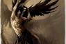 His body style, his hair, and both dark and light wings.