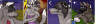 These are her portraits from Furcadia.