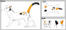 A feline reference sheet creator courtesy of http://neikoish.deviantart.com/