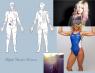Here's a basic ref-sheet. No, I have no art. :P