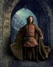 Most likely he's wearing a shirt and cloak with pants.