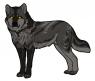 Adopted from Mauston-girl on devianart!