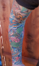 Arm sleeve tattoo example. Koi pond.