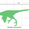 How large Gouge is against an average sized human / anthro