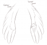 Wing/hand reference