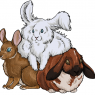 Tibe, Alex and Joz! Being a pile of buns together, done by f0x on RPR! <3