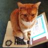 Fred. Doing what he does best