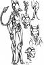 Rough concepts of Void's lithe build
