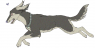 By Rat