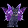 Vipy as a black cat with butterfly wings!