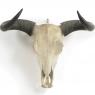 And idea of Nash's horns