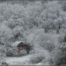 This cabin can only be found if Isolde wills it. It is meant as a refuge for people lost in her woods that are not deserving of death.