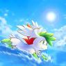 This is Stella's Shaymin she gets after going back to the island, she is the new leader.