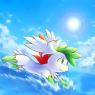 This is Stella's Shaymin she gets after going back to the island, she is the new leader.