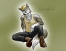 Credit Thanks to Siiri for this ref.