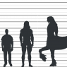 Rig's sizes VS average Caucasian female/male heights