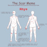 Rhys has many scars.