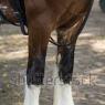What Her Hooves Look Like