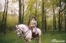 seeking: a mighty steed!