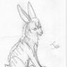 zoge@dA